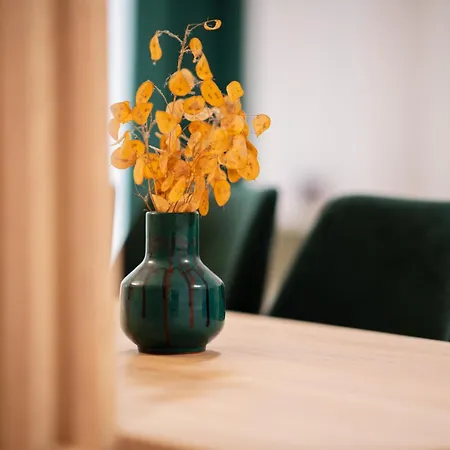 Aria Sophia Cluj-Napoca