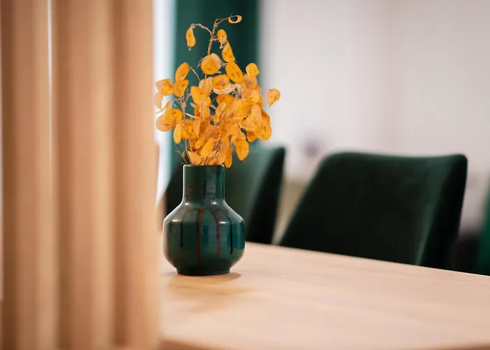 Aria Sophia Cluj-Napoca